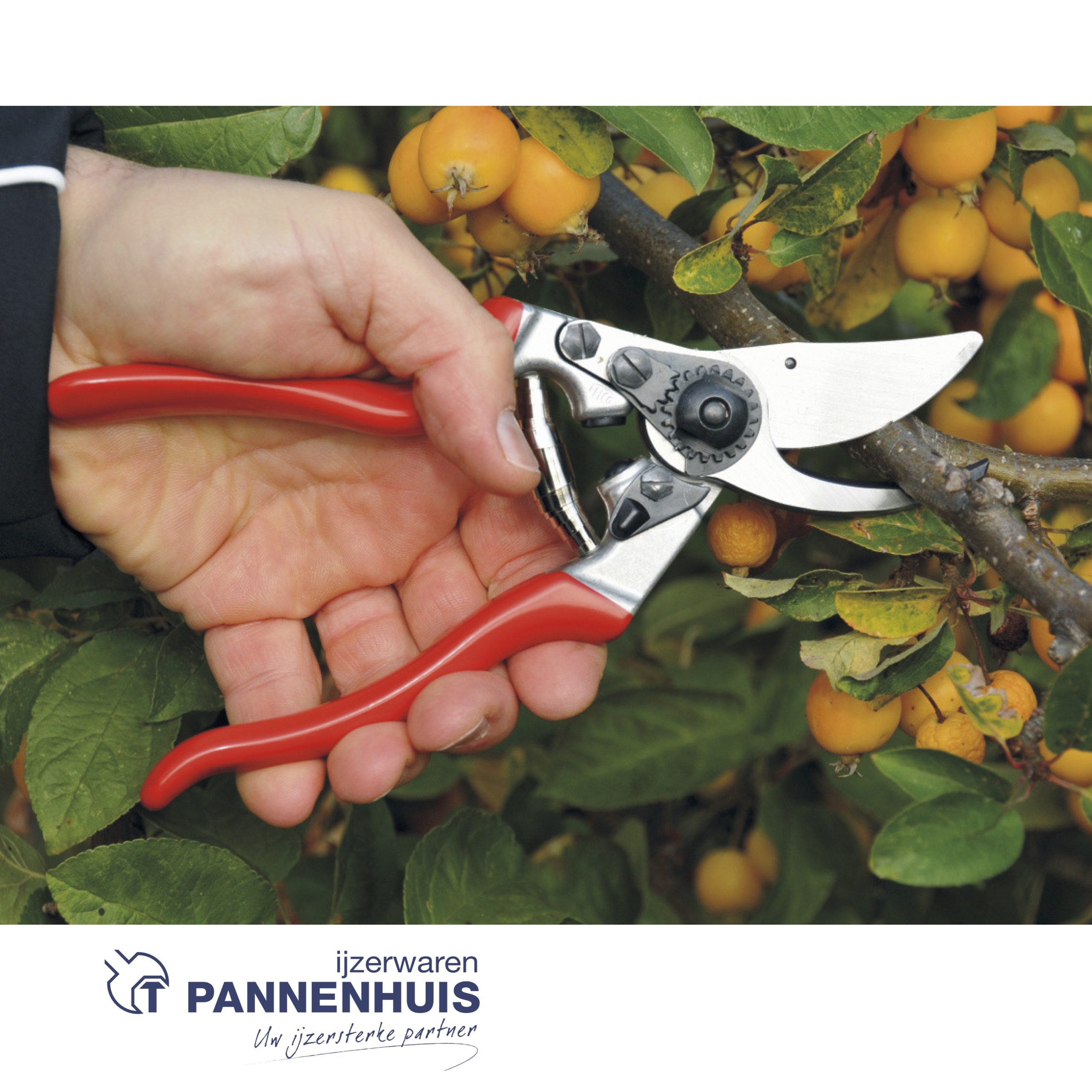 Stihl Felco Tuinschaar F9 (voor linkshandigen) - Afbeelding 2