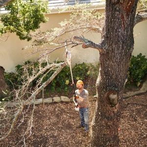 Stihl HTA 50 Verlengstuk 0,5 m