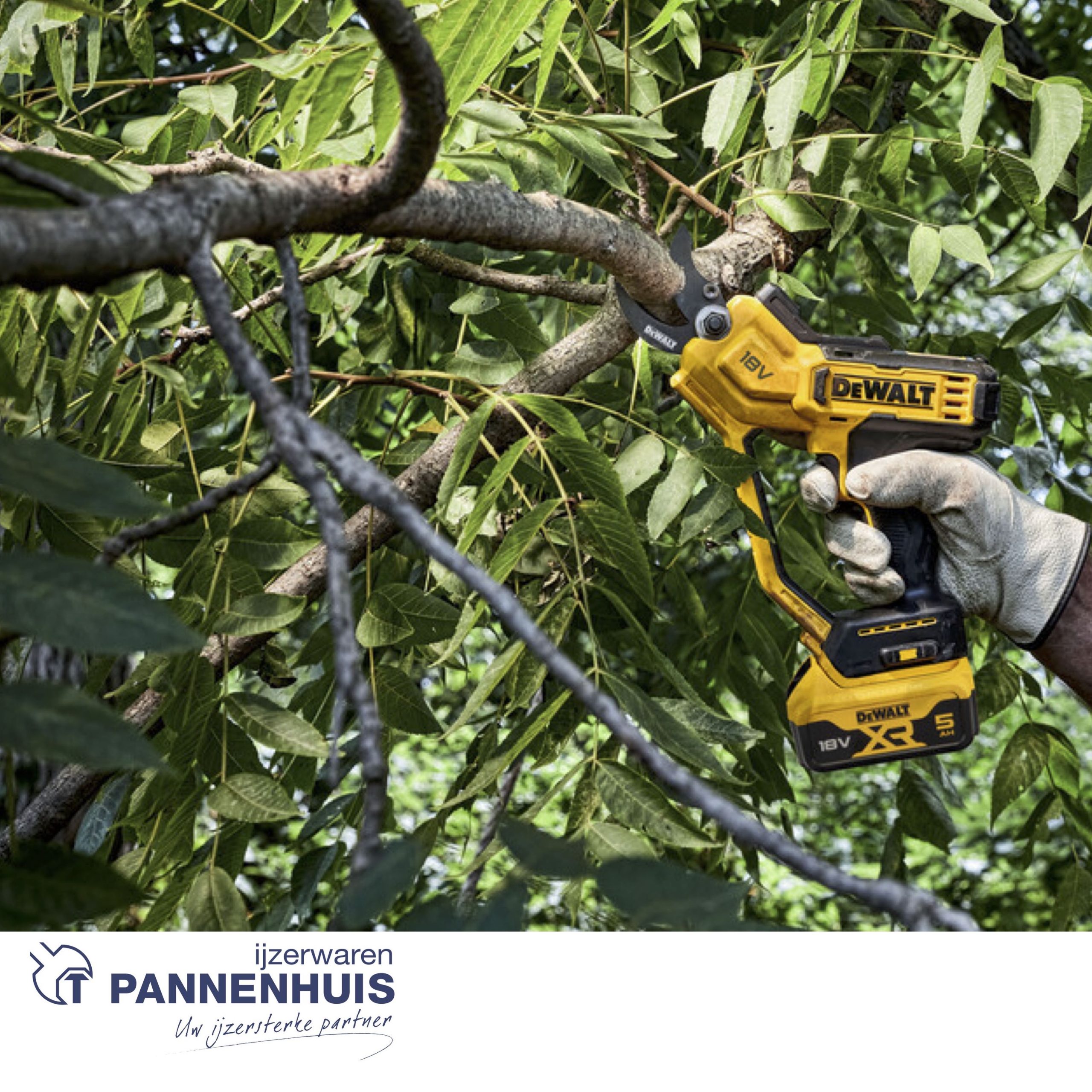 Dewalt DCMPP568P1 18V XR Snoeischaar met 1x 5.0Ah accu - Afbeelding 4