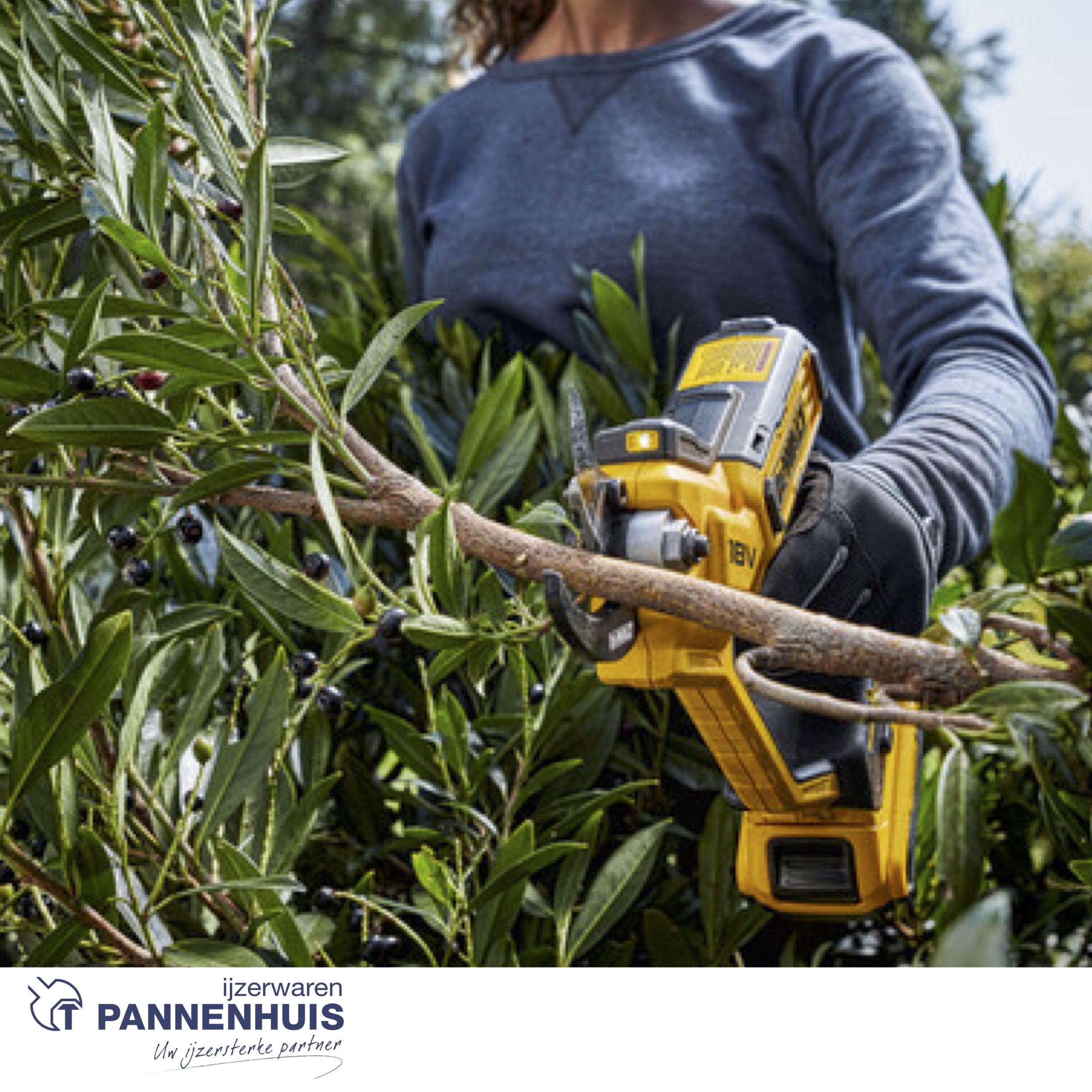 Dewalt DCMPP568P1 18V XR Snoeischaar met 1x 5.0Ah accu - Afbeelding 5