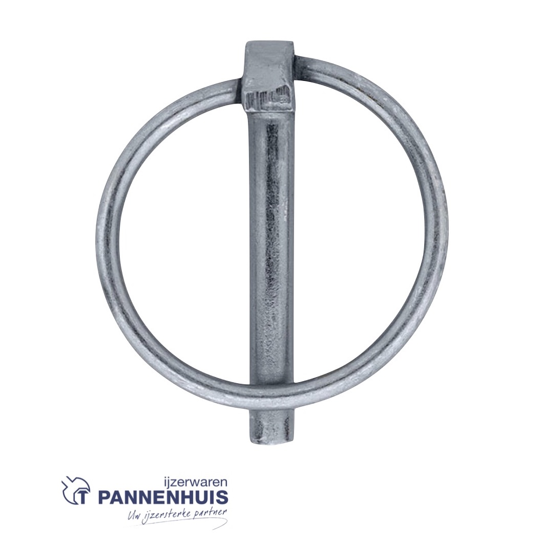 Borgpen 4,5 mm verzinkt met ring