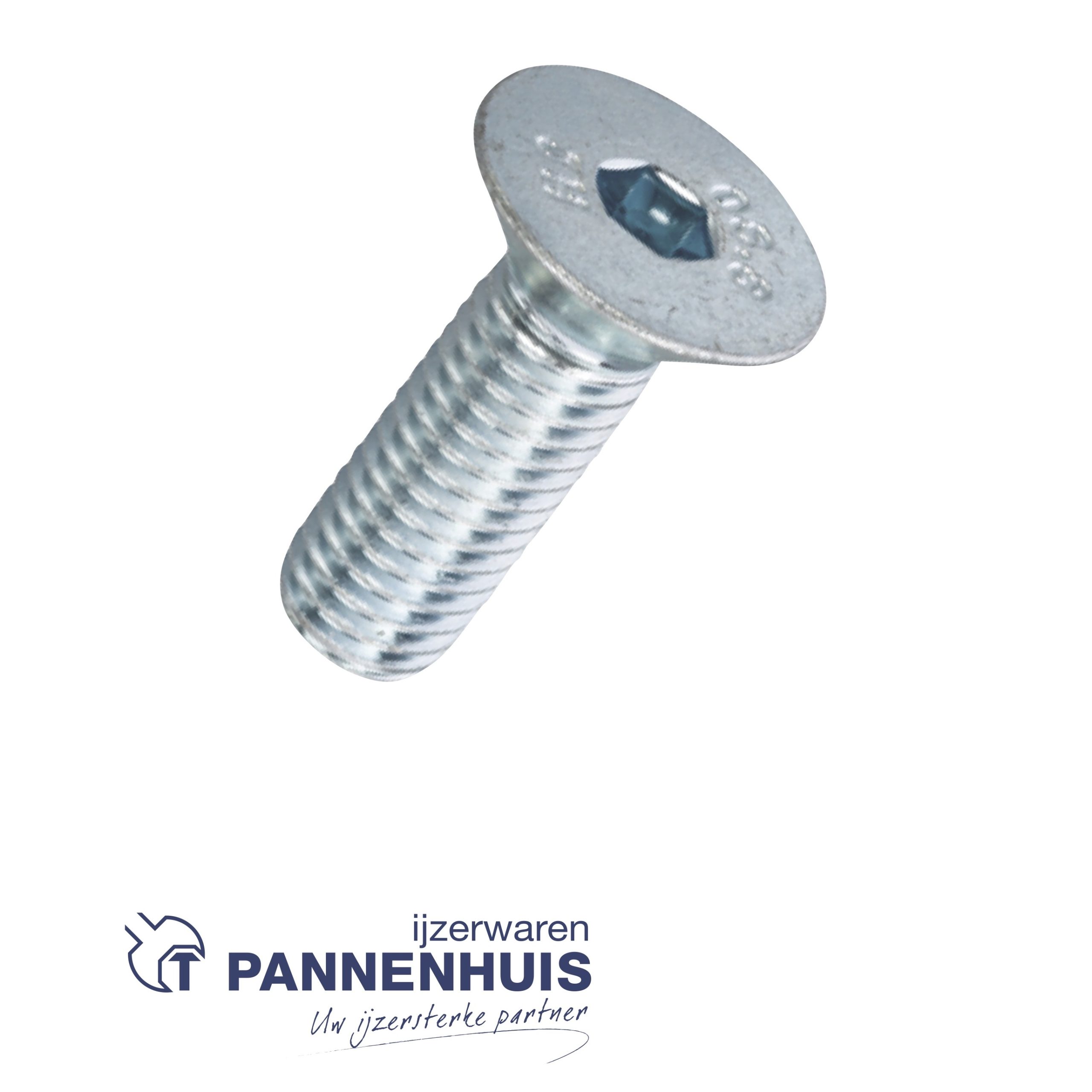Binnenzeskantbout verzinkt 8.8 platkop 8x25 (200)