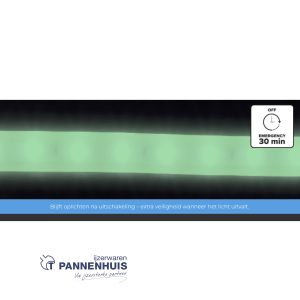 Lumx LED lichtslang DUO FLUOR 50m – 2x60led/m – H=6,5mm