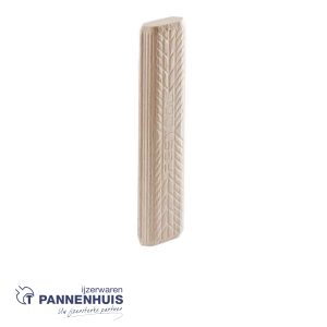 Festool DOMINO stenen beuken D 10×100/120 BU (DF700)