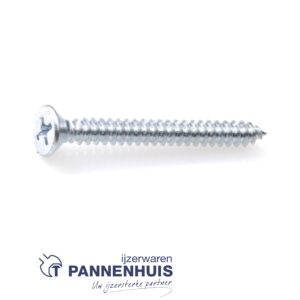 Plaatschroef verzinkt platkop phillips 4,80x19 (200st)