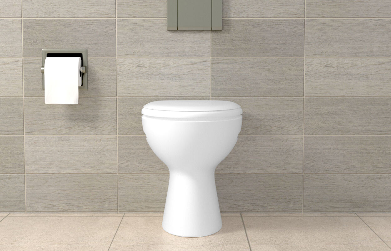fischer WC-bevestiging S 8 RD 80 K NV (blister) - Afbeelding 4
