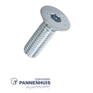 Binnenzeskantbout verzinkt 8.8 platkop  8x40 (100)