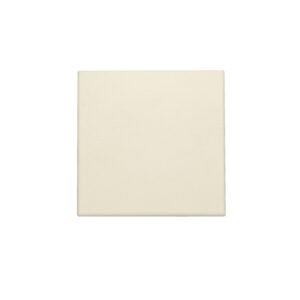 NIKO Spatwaterdichte blindplaat, cream