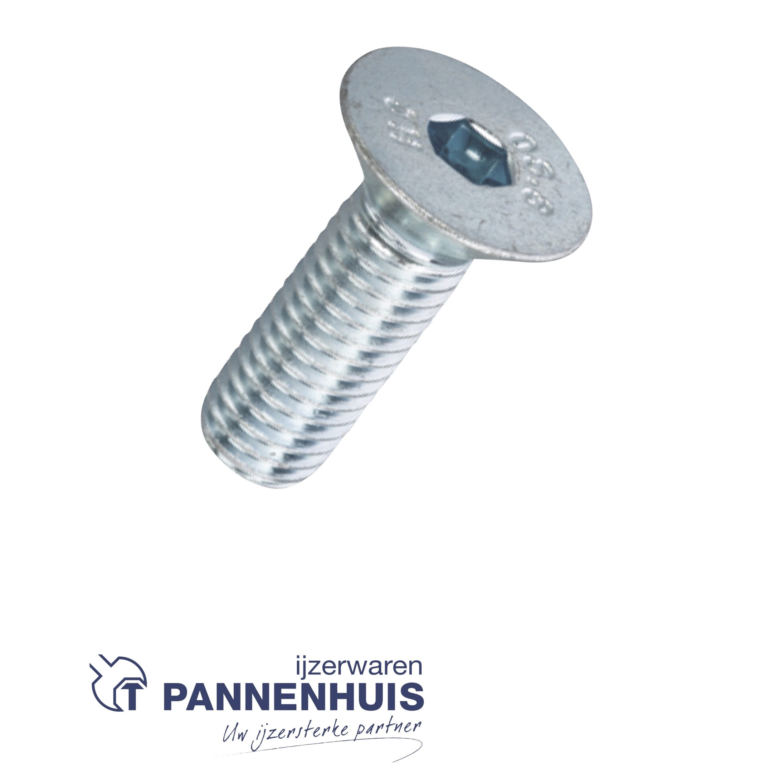 Binnenzeskantbout verzinkt 8.8 platkop 6x30 (200)