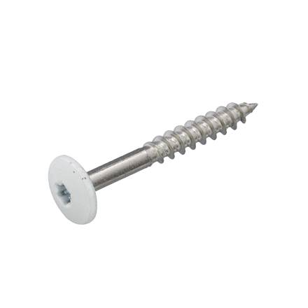 Kleurkopschroef RVS 4.8X38 A2 WIT RAL 9010 (50st)