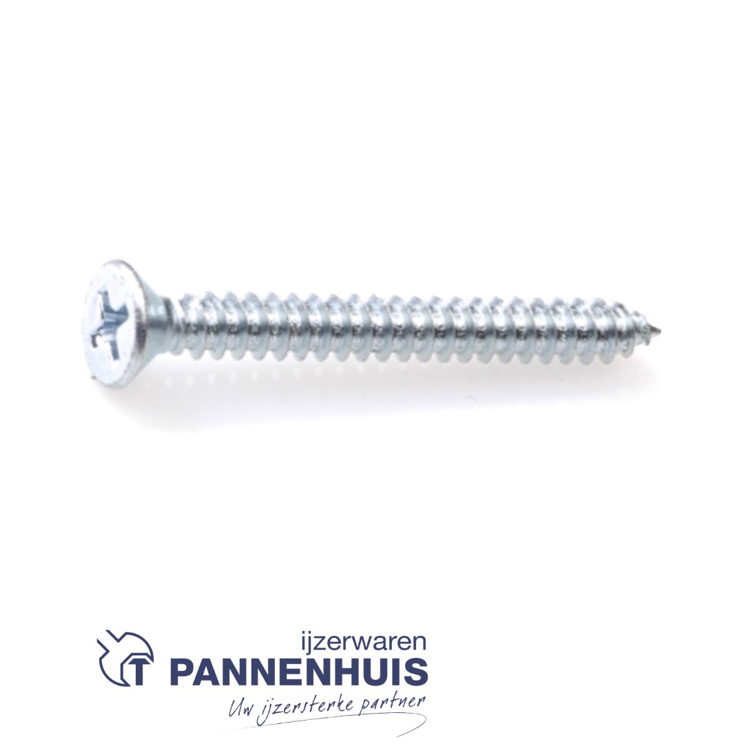 Plaatschroef verzinkt platkop phillips 3,90x13 (200st)