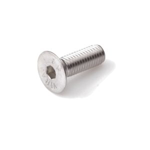 Binnenzeskantbout RVS-A2 platkop  6x40 (200st)
