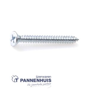 Plaatschroef verzinkt platkop phillips 2,90x 9,5 (200st)