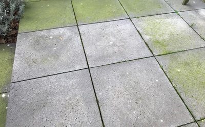 Aquaplan Stop Groene Aanslag 5 L - Afbeelding 2