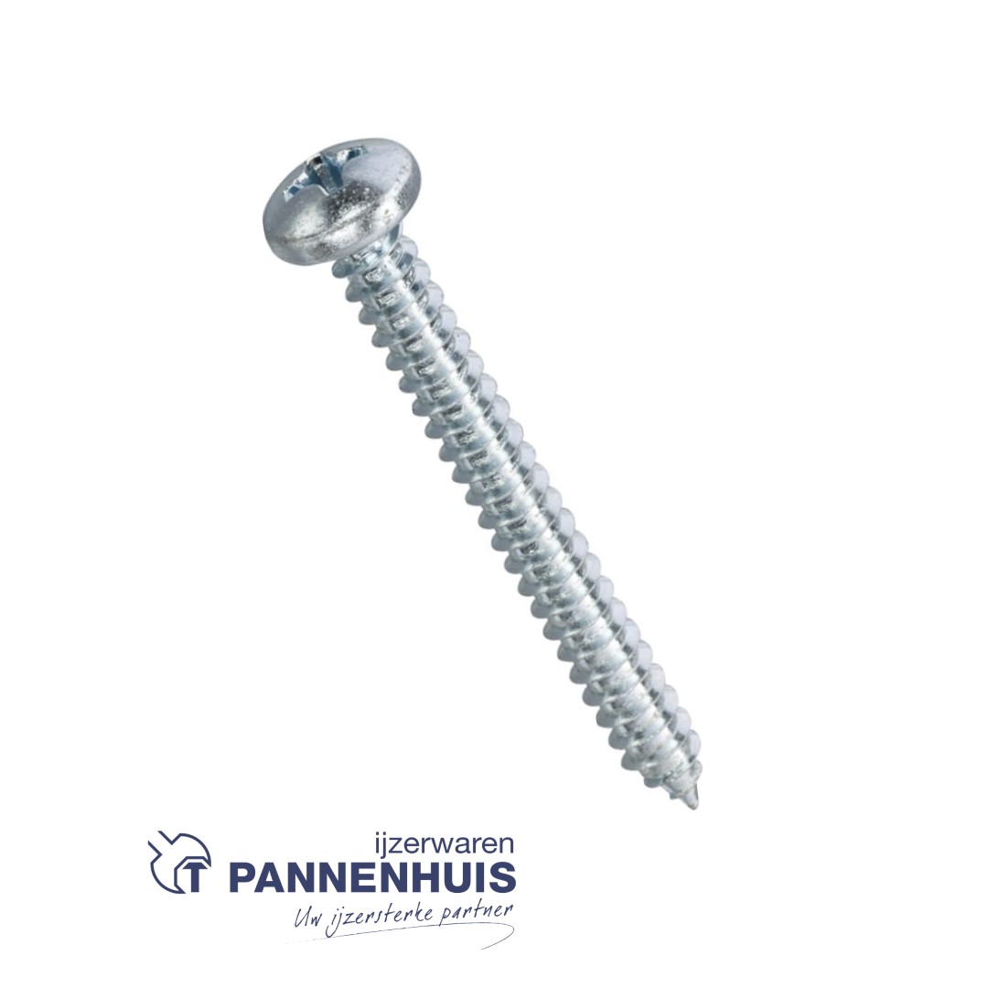 Plaatschroef verzinkt cilinderkop phillips 2,9x25 (200st)