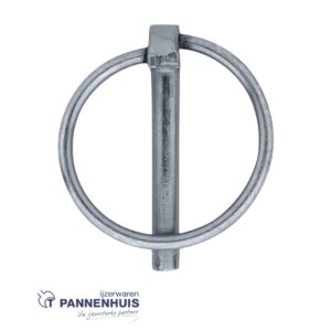 Borgpen 4,5 mm verzinkt met ring